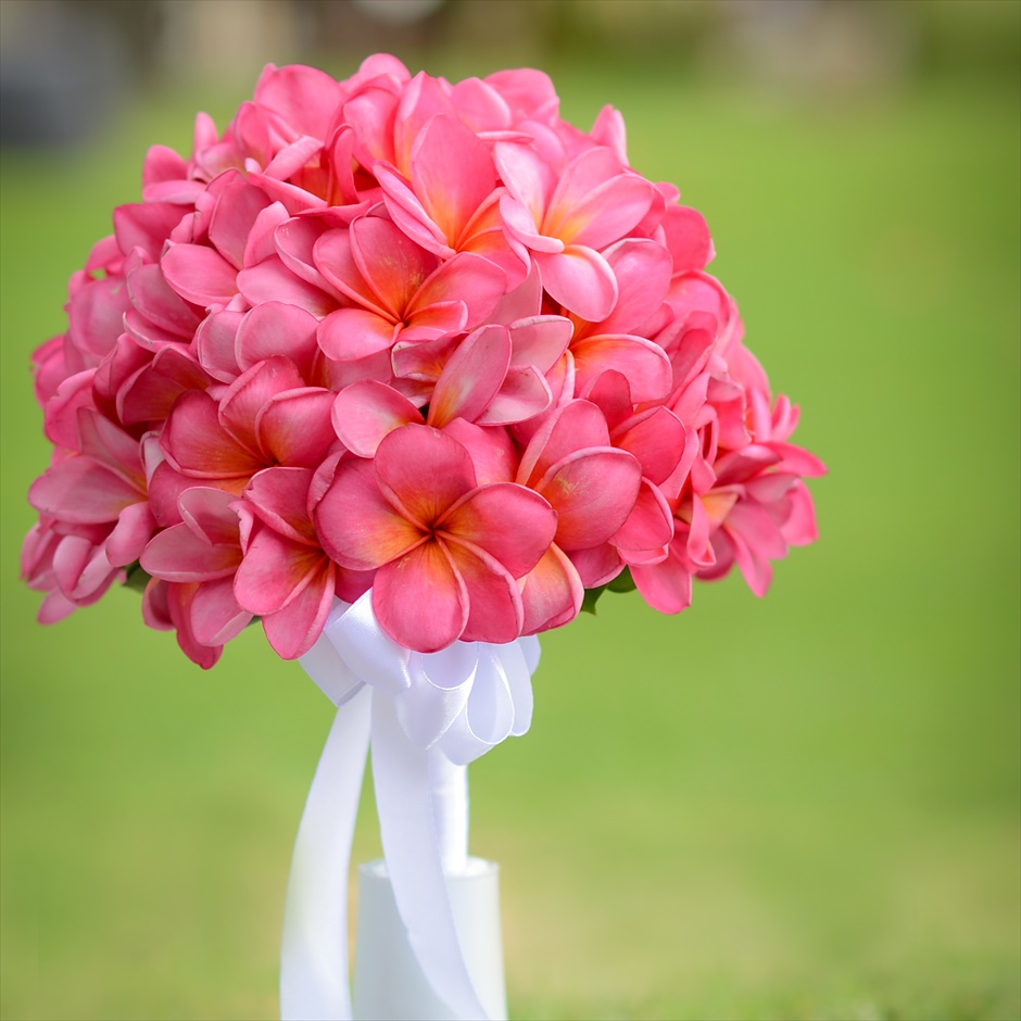 プルメリア ラウンド ピンク