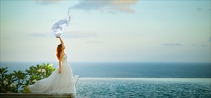 直営店ドレス＆タキシード<br><br>DRESS HOUSE<br>フルセット均一価格