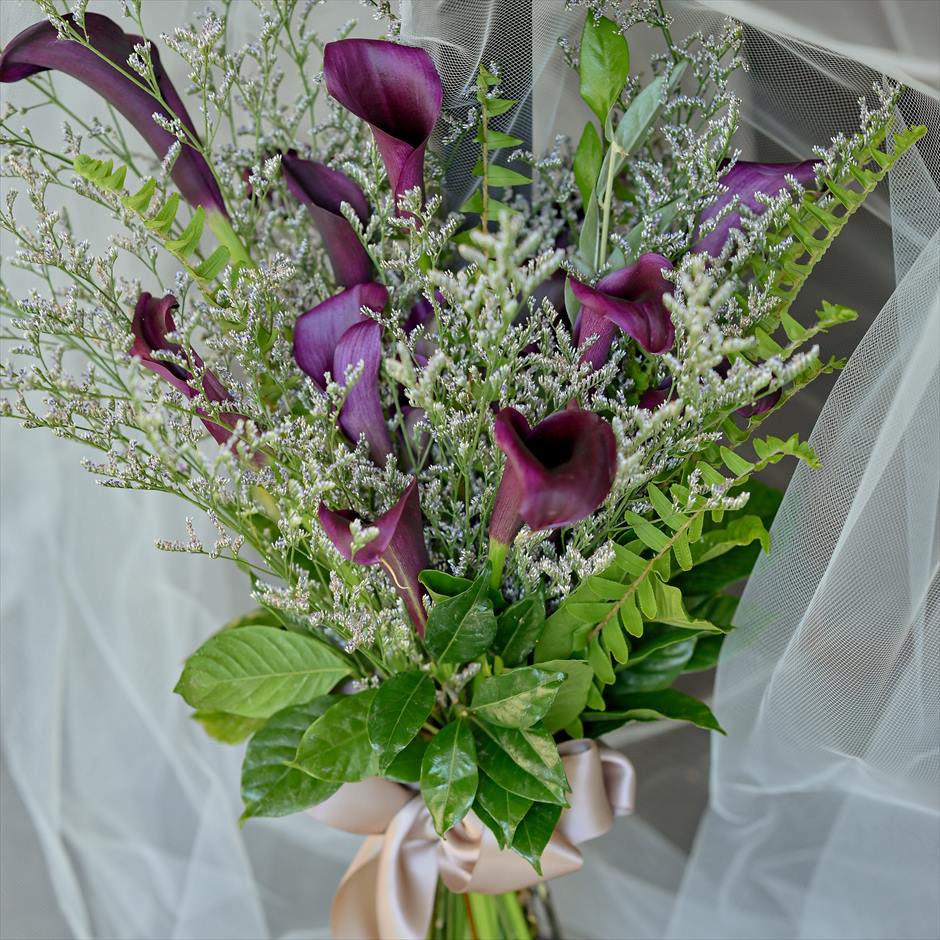 リリィ＆カスピア